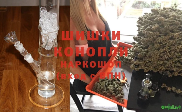 ГАЛЛЮЦИНОГЕННЫЕ ГРИБЫ Абдулино