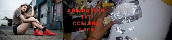 гидропоника Алзамай