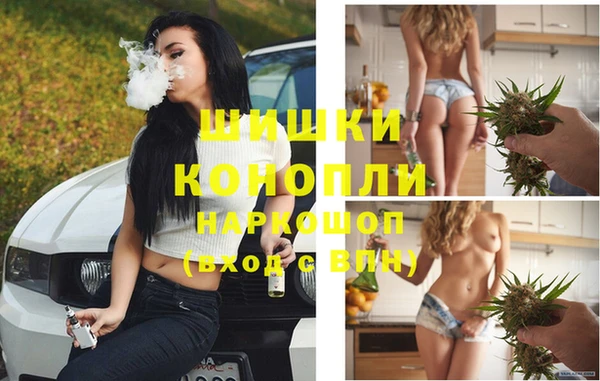 гидропоника Алзамай