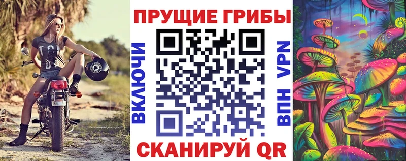 Псилоцибиновые грибы ЛСД  kraken как войти  Архангельск 