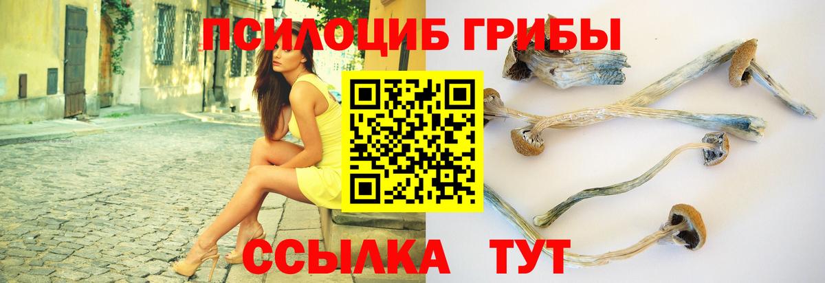 Архангельск  Псилоцибиновые грибы Psilocybe  Вход с VPN 